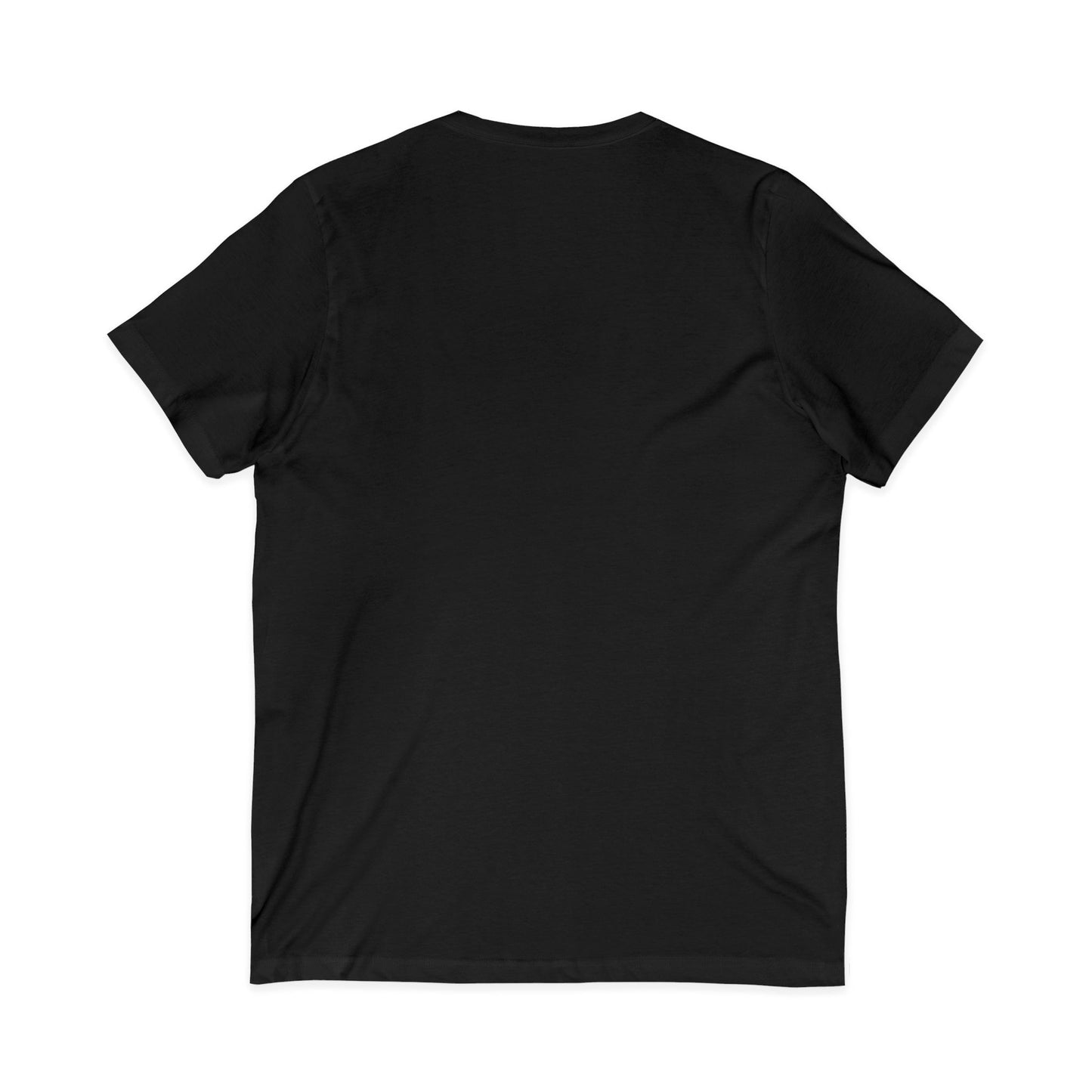 2) V-NECK TEE - UNISEX