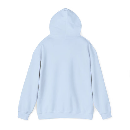 HOODIE Unisex (multiple colors)