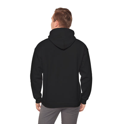 7) HOODIE Unisex (multiple colors)