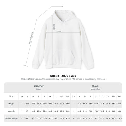 SAINTS FANATIC HOODIE  / BLESS YOU BOYS double-sided