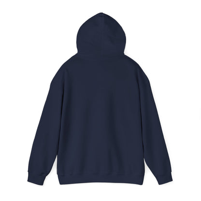 07) HOODIE Unisex (multiple colors)
