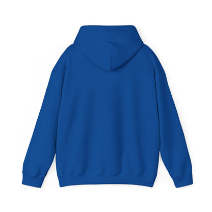7) HOODIE Unisex (multiple colors)